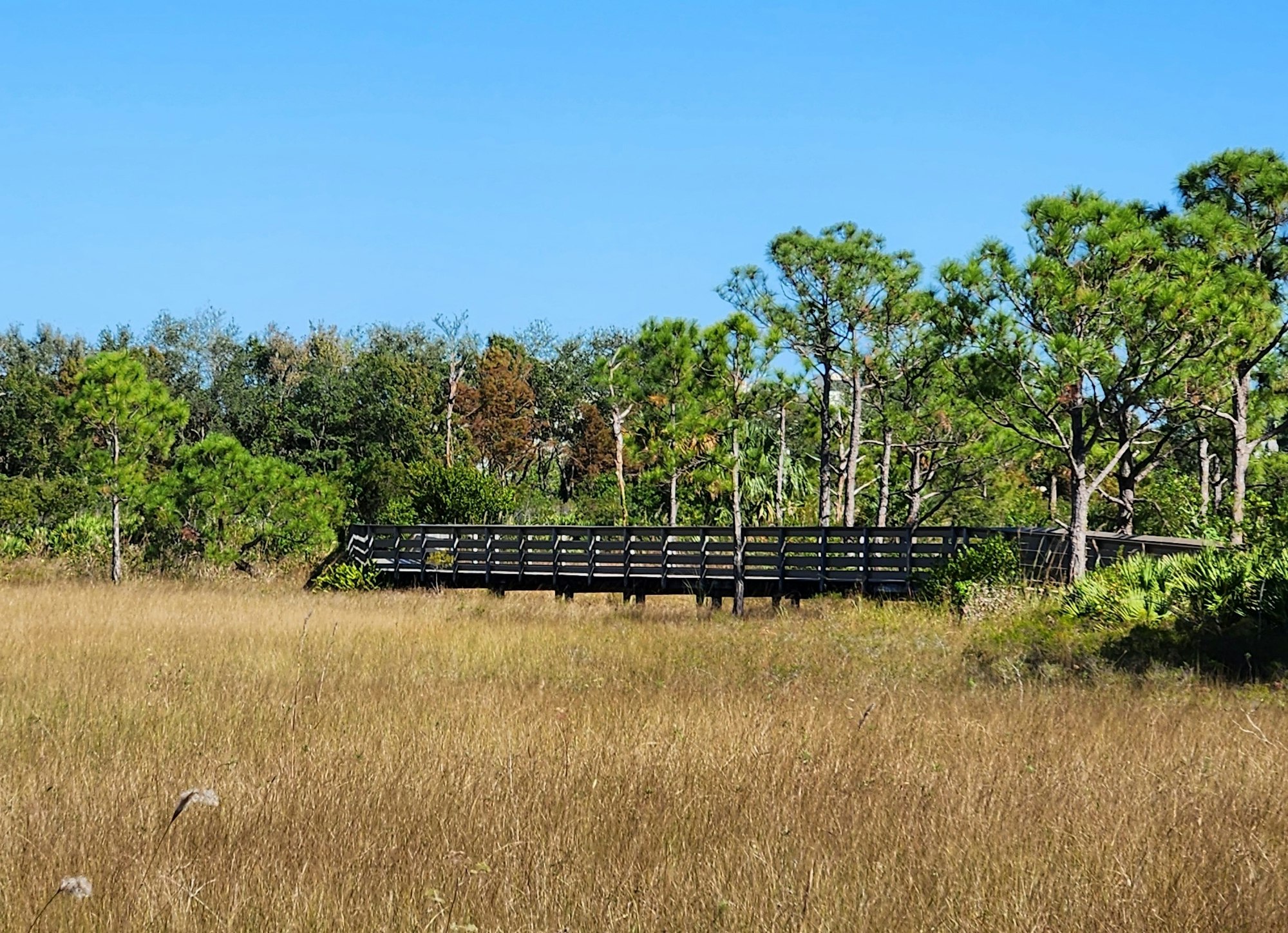 A brown bridge over dry grasses in upland preserve with green trees in the background.